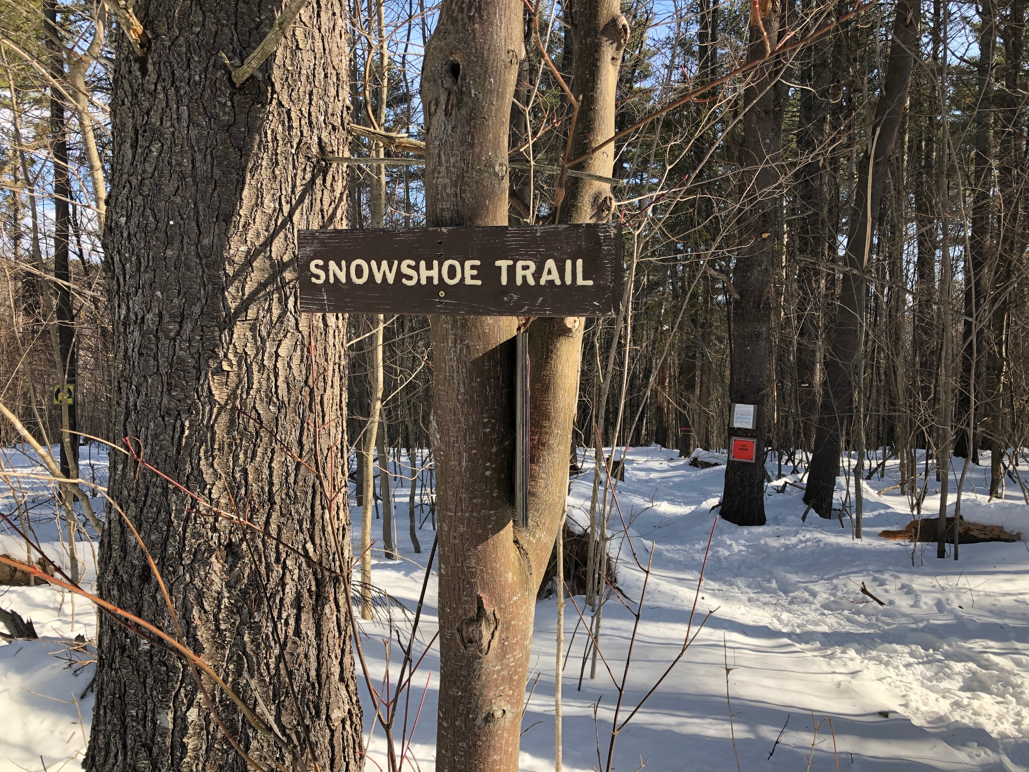 I can't say enough nice things about the snowshoe trail network at Mt. Blue State Park.