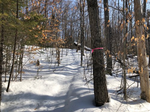 This is my favorite kind of trail condition: singletrack that is basically packed with with a couple inches of the fresh stuff. I can hear it calling my name!