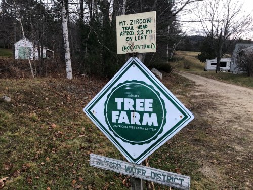 The adventure begins through a tree farm owned by the Rumford Water District.